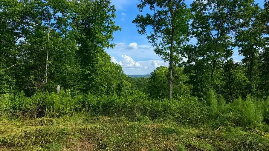 0 Shallow Water Way, Talking Rock, GA 30175 - #3