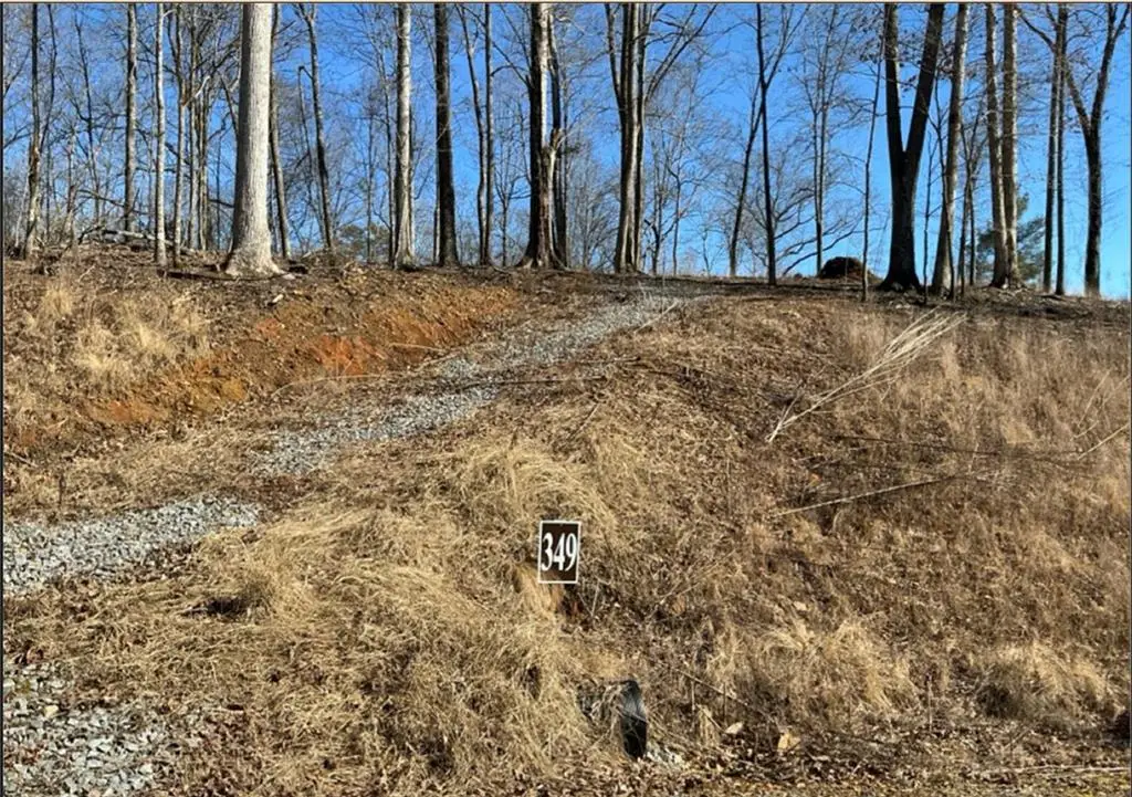 LT 349 Reel Rd, Talking Rock, GA 30175 - #1