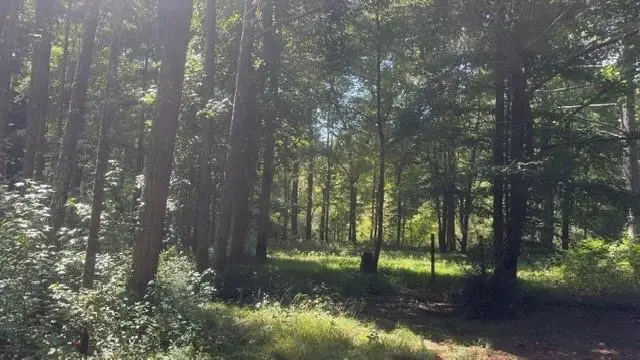 760 Cherokee Trail, Winterville, GA 30683 - #2