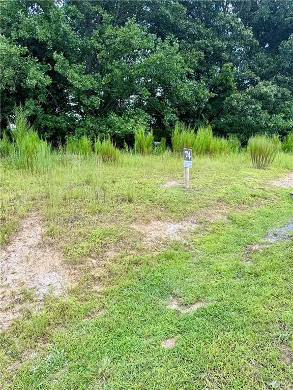 0 Big Valley Drive, Blue Ridge, GA 30513
