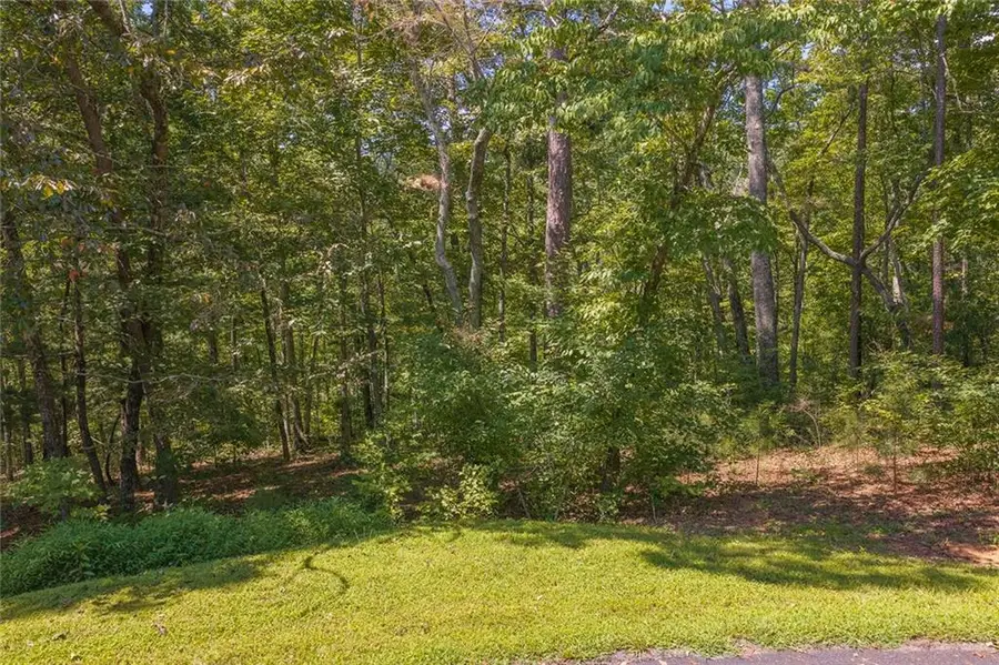 0 Harris Ridge Drive, Ellijay, GA 30540 - #3
