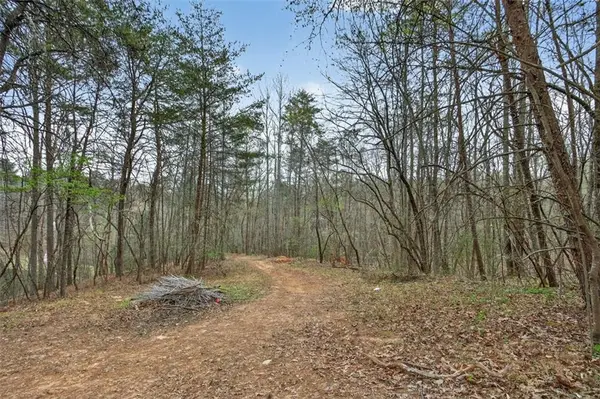 1812 Upper Bethany Road, Ball Ground, GA 30107