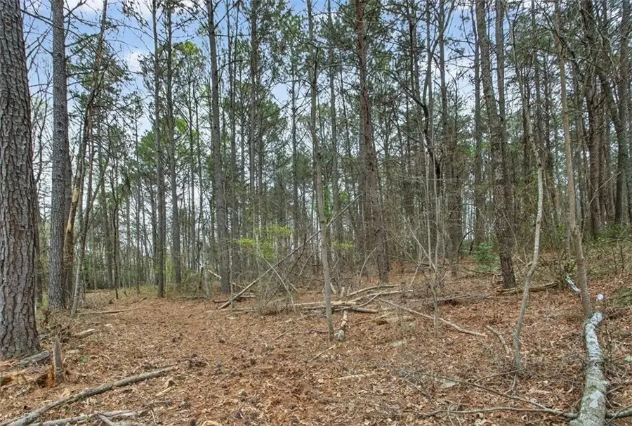 1812 Upper Bethany Road, Ball Ground, GA 30107 - #3