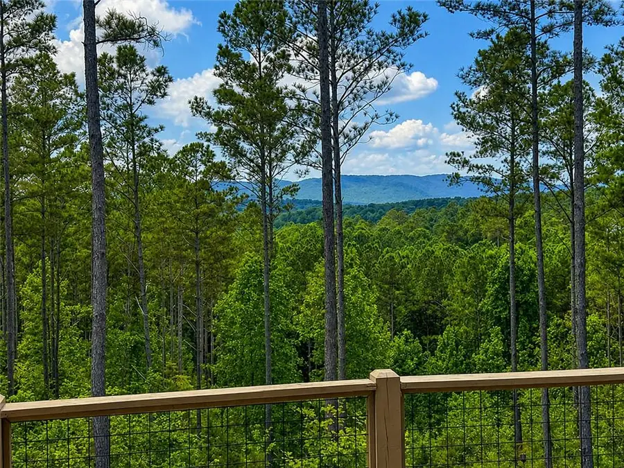 230 High River Landing, Ellijay, GA 30540 - #2