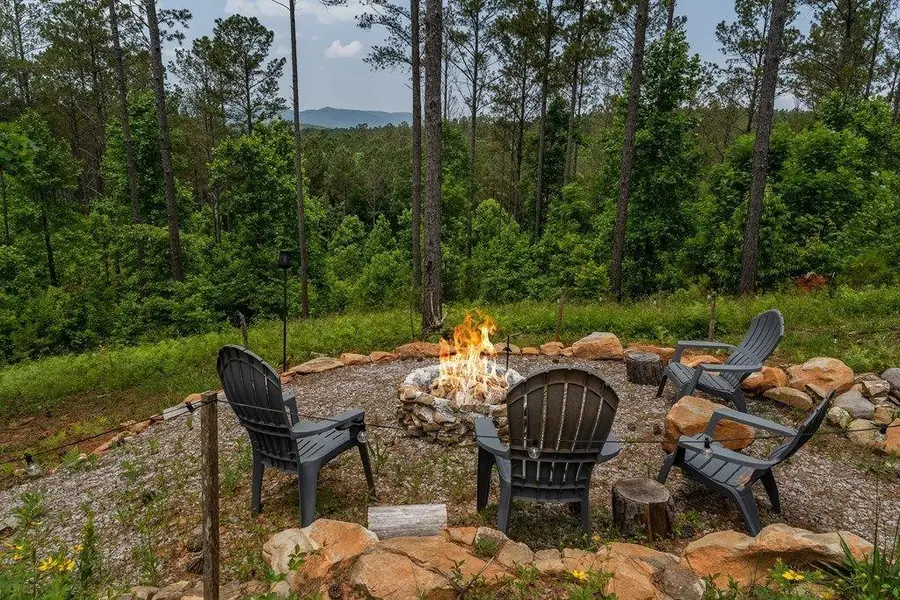 230 High River Landing, Ellijay, GA 30540 - #3