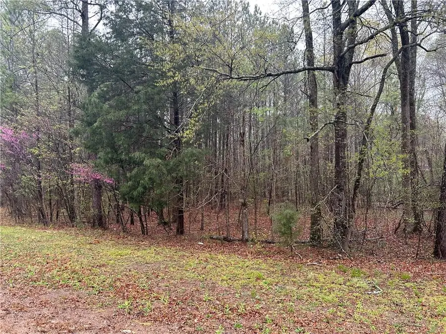 0 Walker Mountain Road Sw, Rome, GA 30161 - #2