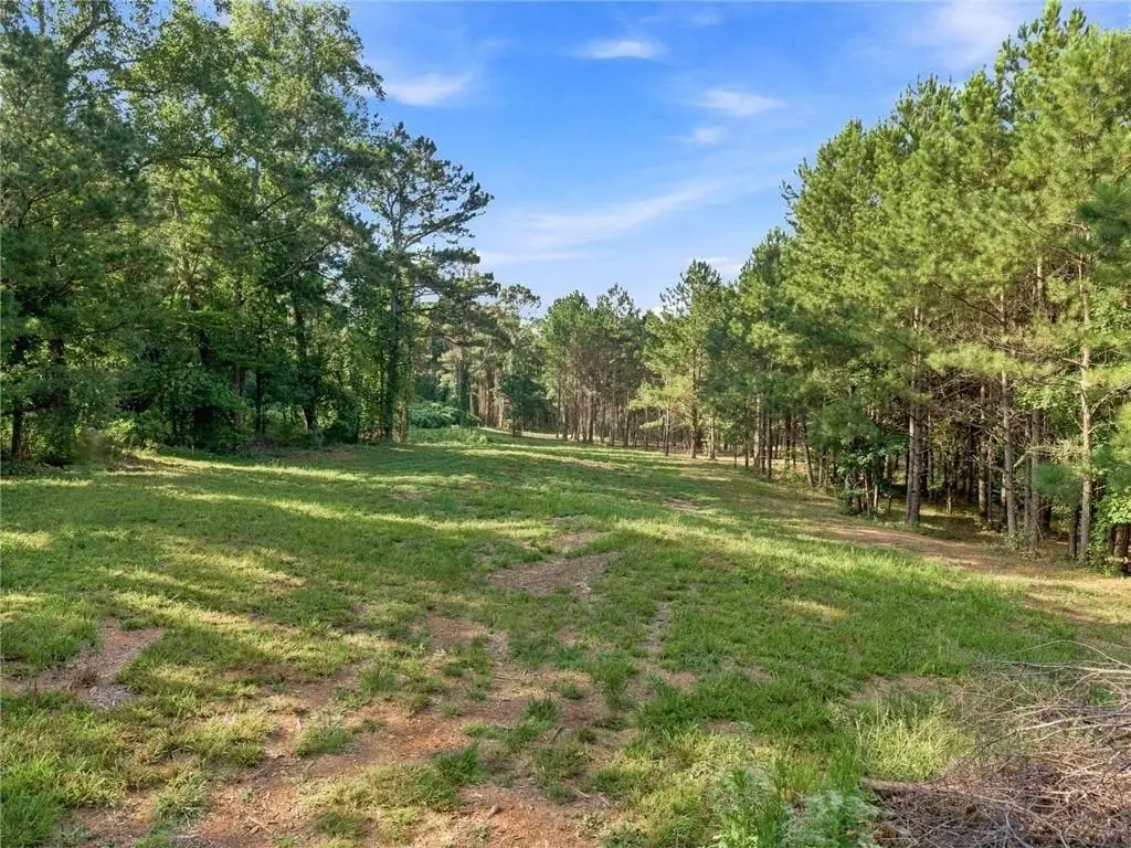 283 Leo Taylor Lane, Ball Ground, GA 30107 - #1