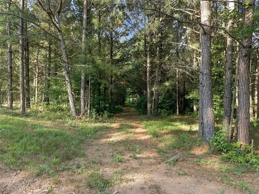 283 Leo Taylor Lane, Ball Ground, GA 30107 - #3