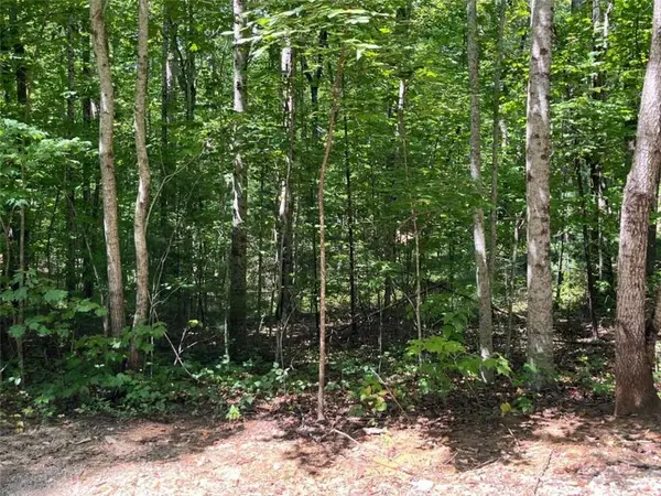 LOT 7 Forest Canopy Way, Clayton, GA 30525