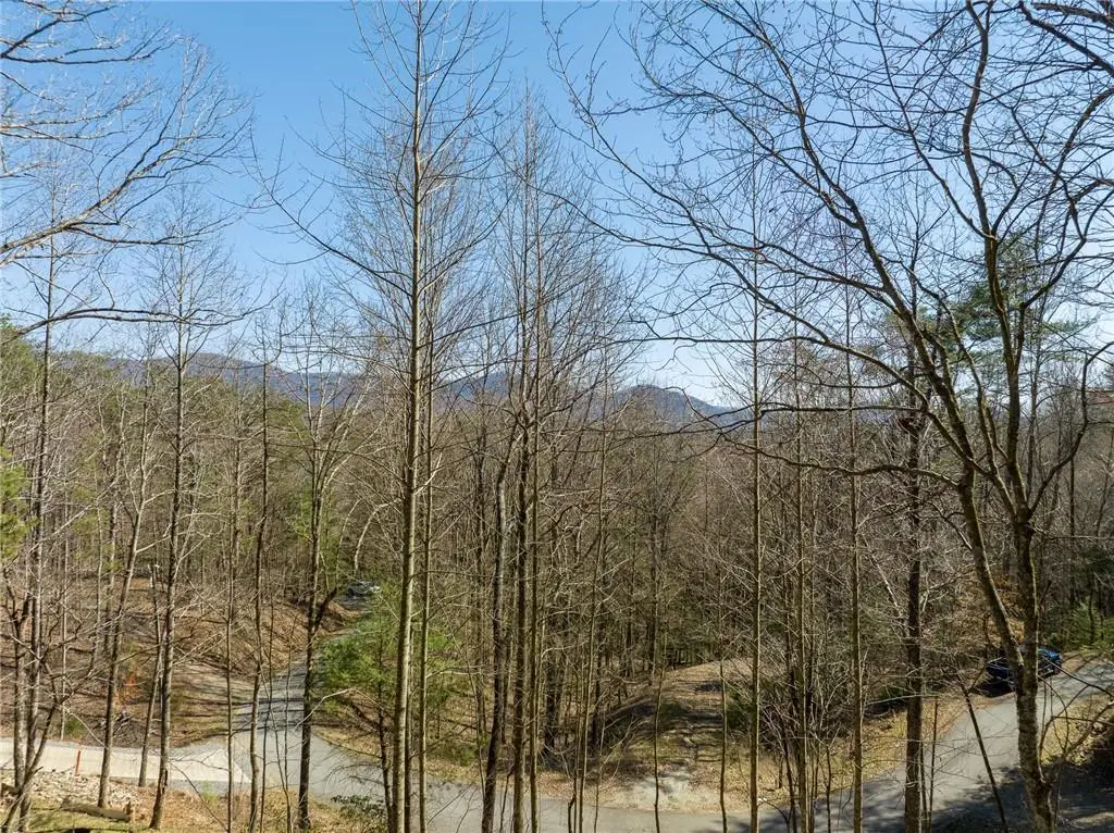 0 Chicasaw Drive, Ellijay, GA 30540 - #1