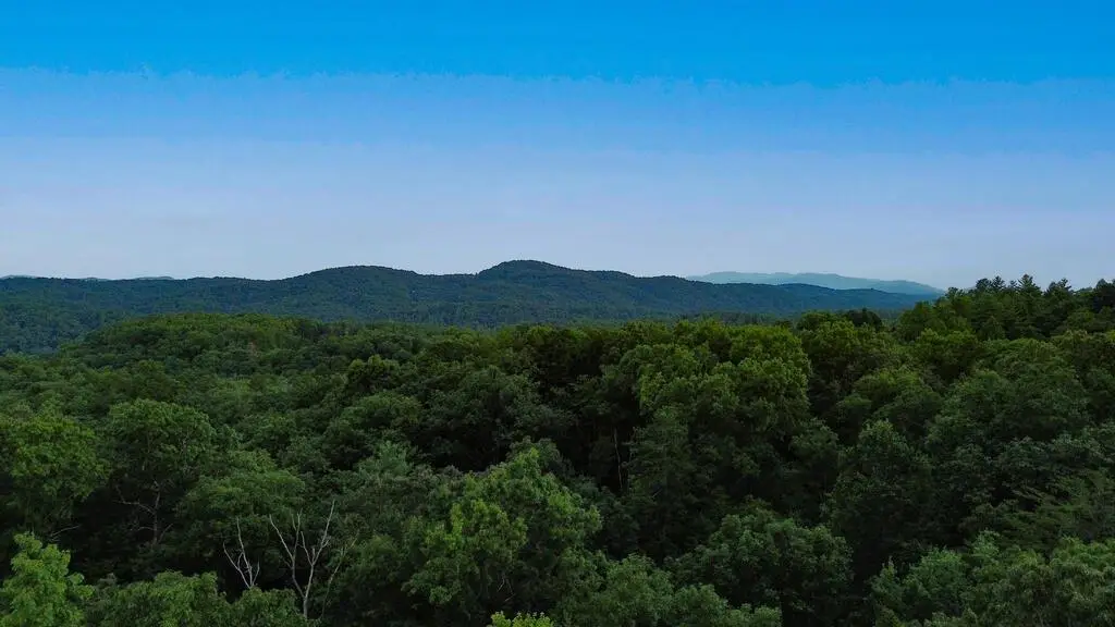 LOT 6 Allaire Lane, Mineral Bluff, GA 30559 - #1