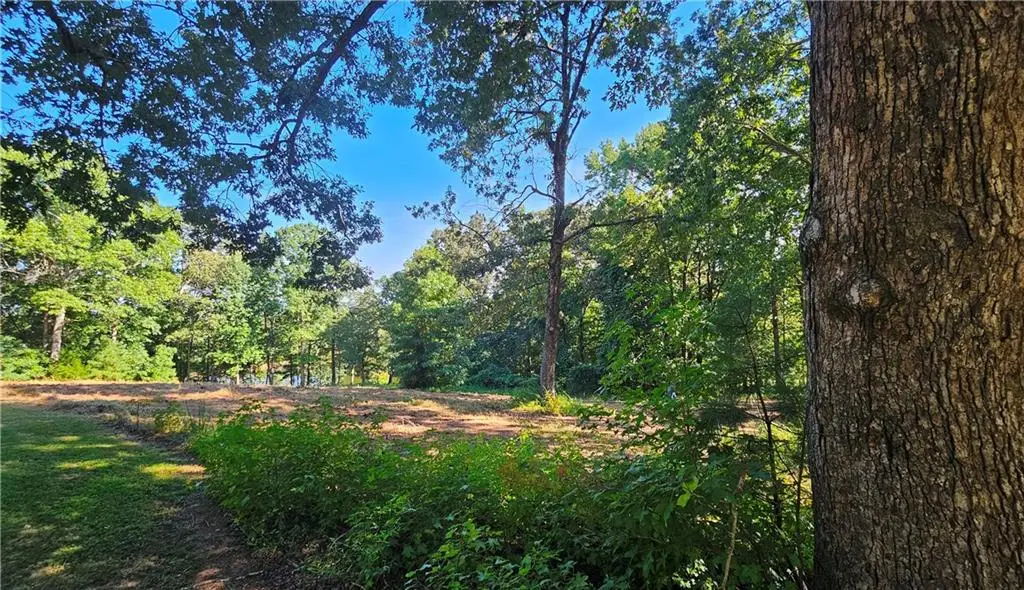 Lot 2 Snote Jones Road, Dallas, GA 30132 - #1