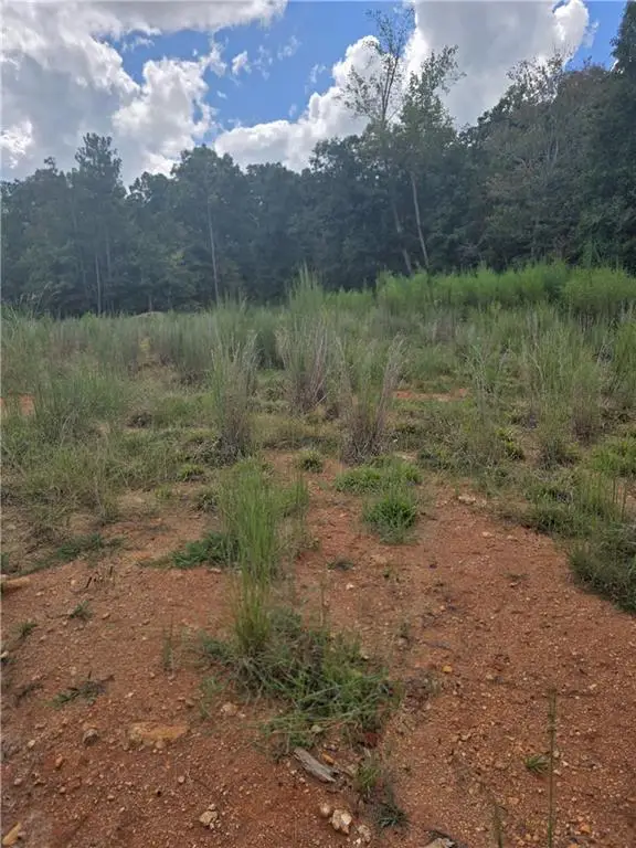 888 Forrester Cemetery Road, Covington, GA 30014