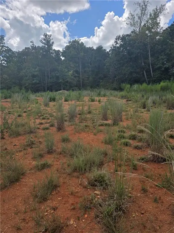 890 Forrester Cemetery Road, Covington, GA 30014