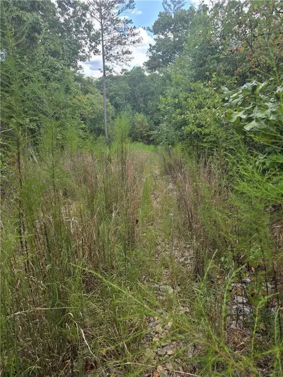 890 Forrester Cemetery Road, Covington, GA 30014 - #2