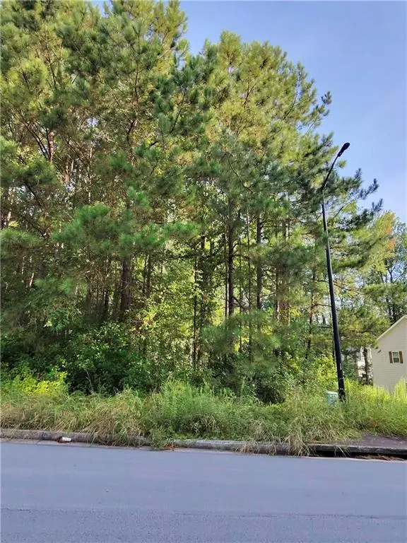 203 Mary Hill Lane, Douglasville, GA 30134 - #3