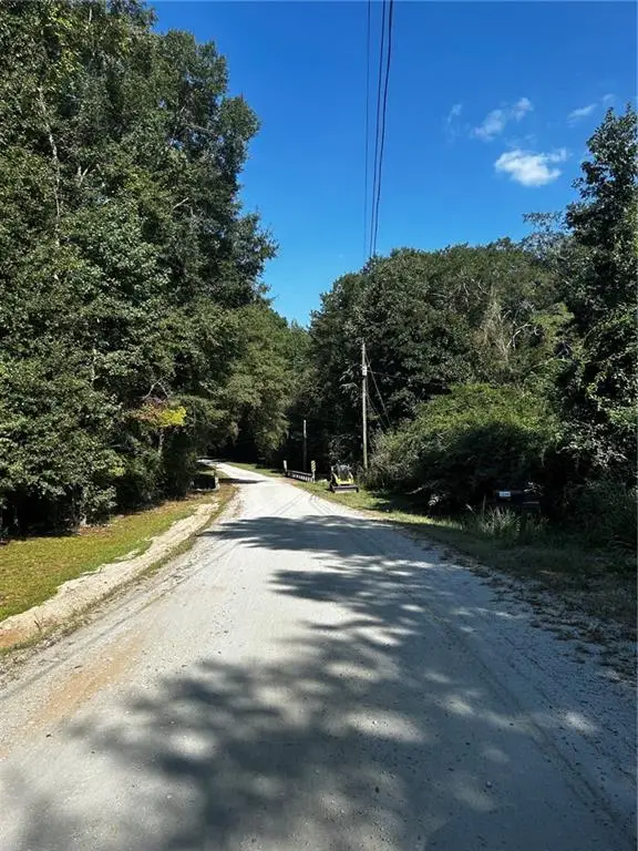 12345 Hamilton Road, Palmetto, GA 30268 - #3