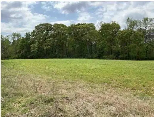1325A Holland Drive, Byromville, GA 31007