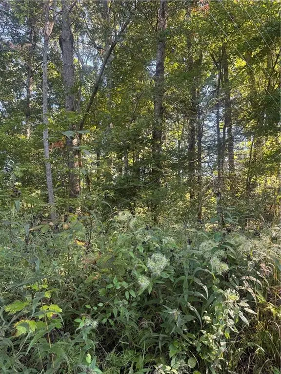 Lot 3 Roberts Ridge Road, Ellijay, GA 30540 - #1