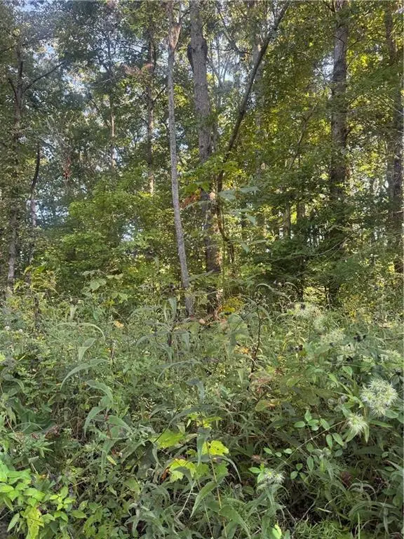 Lot 3 Roberts Ridge Road, Ellijay, GA 30540 - #2