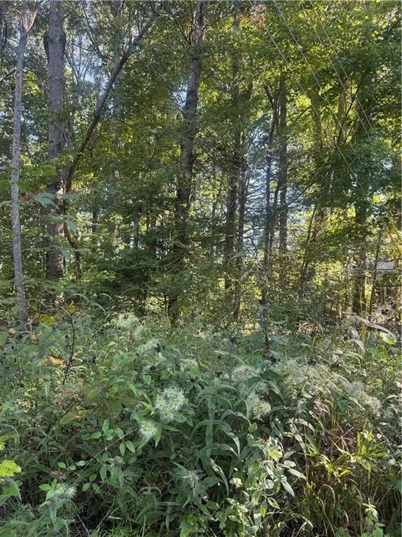 Lot 3 Roberts Ridge Road, Ellijay, GA 30540 - #3