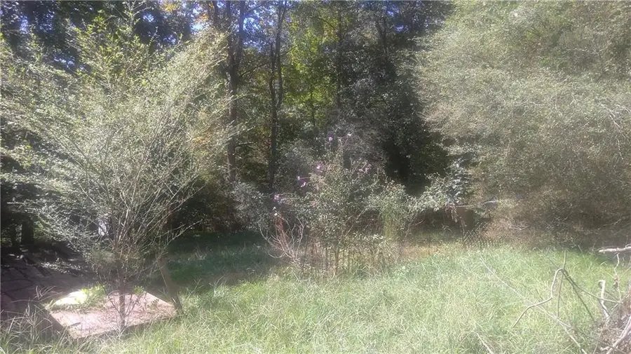 110 Mountainside Drive, Dawsonville, GA 30534 - #3