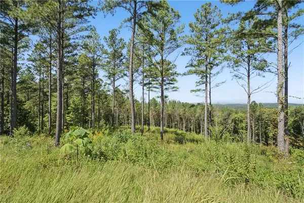 0 Lacey Springs Lane, Ellijay, GA 30540