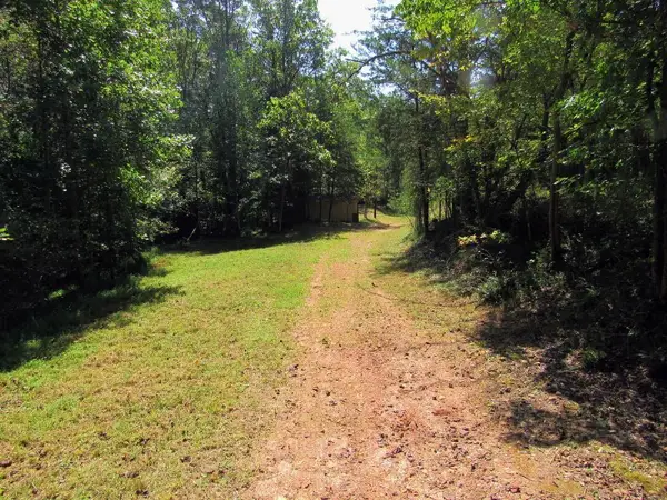 343 Hollybrook Road, Dahlonega, GA 30533