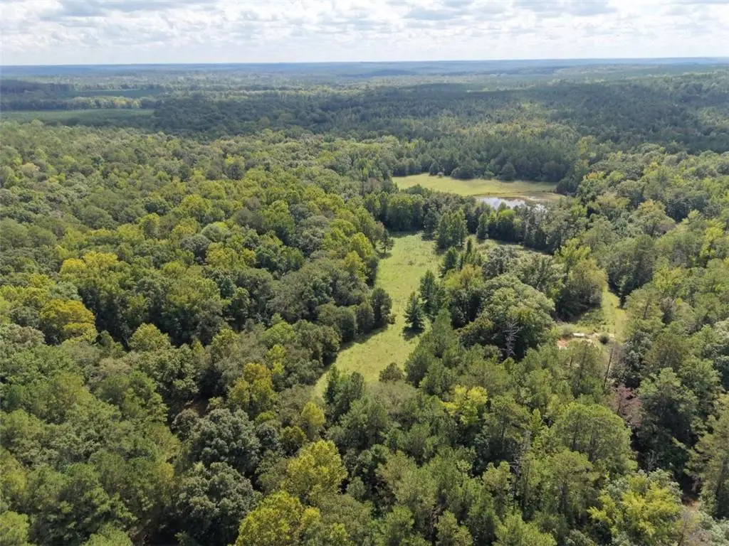 8117 Linton Rd, Sparta, GA 31087 - #1