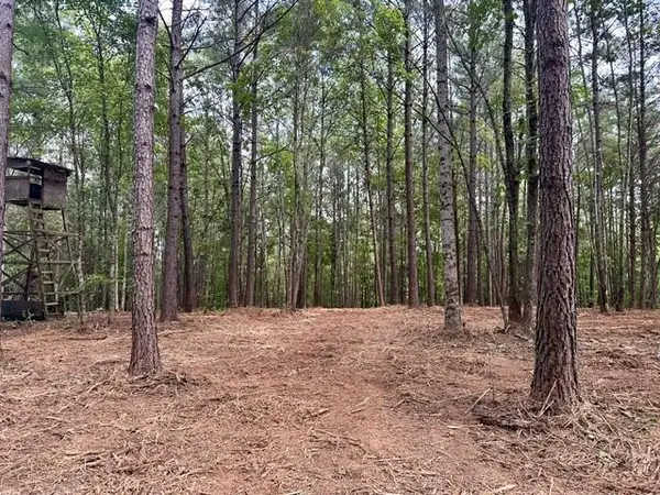 130 Patriot View Drive, Dahlonega, GA 30533