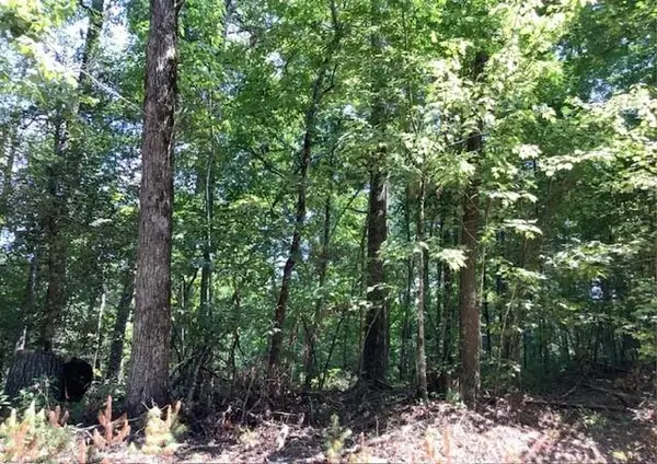 0 William Sluder Road, Ellijay, GA 30540