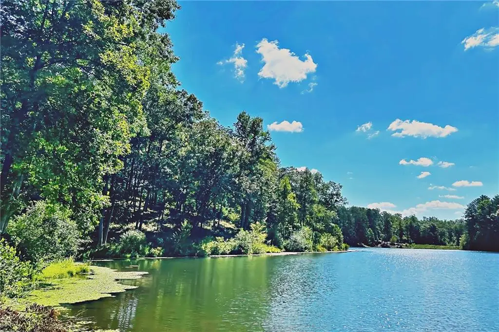 0 Pinnacle Drive, Ellijay, GA 30540 - #1
