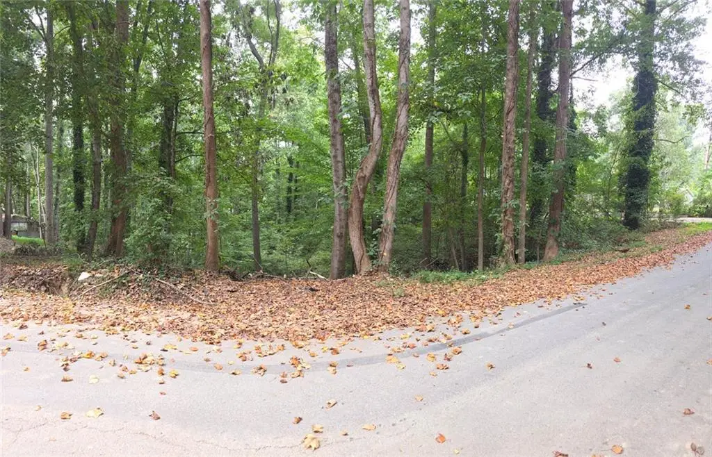 3828 Lance Drive, Flowery Branch, GA 30542 - #1