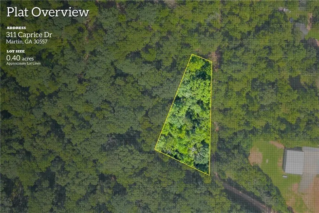 311 Caprice Drive, Martin, GA 30557 - #1
