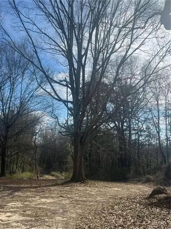 98 Pine Shadows Drive, Dallas, GA 30157