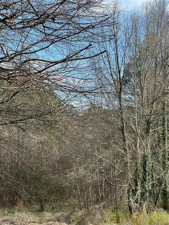 98 Pine Shadows Drive, Dallas, GA 30157 - #3