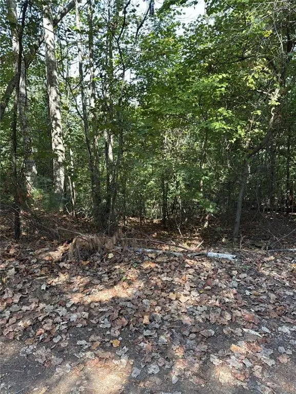 946 Aurora Lane, Ranger, GA 30734