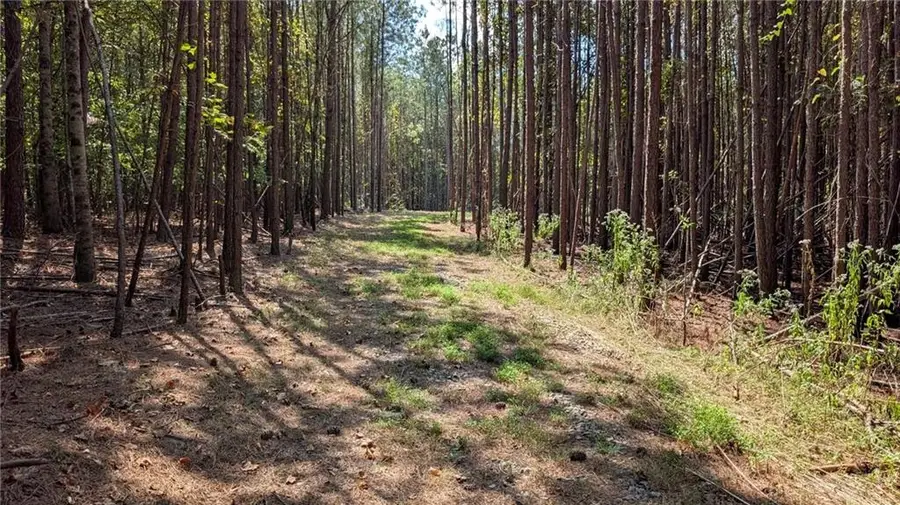 1158 Ballard Rd, Ball Ground, GA 30107 - #2