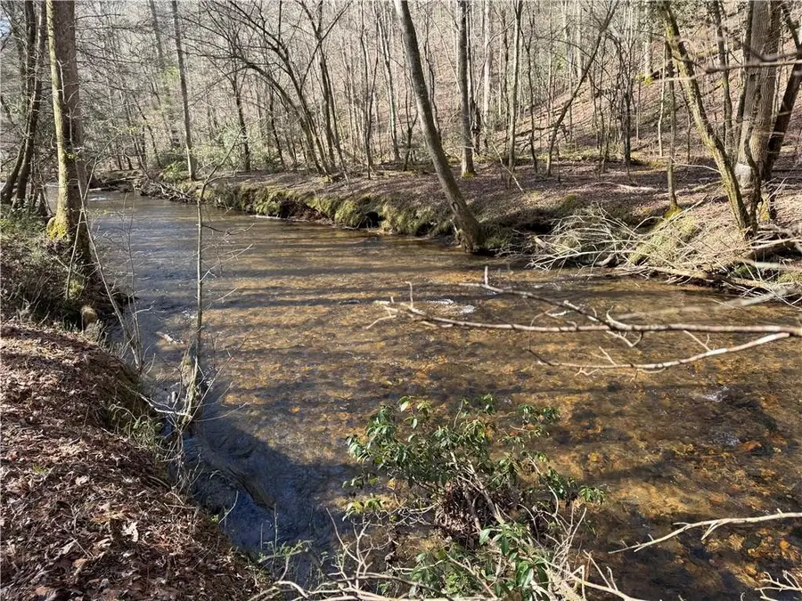0 Black Falls Road, Dahlonega, GA 30533 - #3
