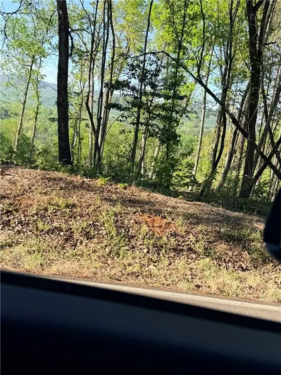 LOT 7A Pea Ridge Road, Ball Ground, GA 30107 - #2
