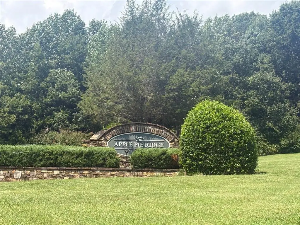 0 Planters Oak Ct - Lot #18, Banks, GA 30511 - #1