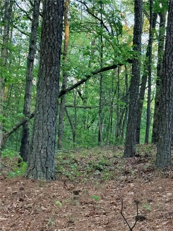 LOT 7B Pea Ridge Road, Marble Hill, GA 30148 - #2