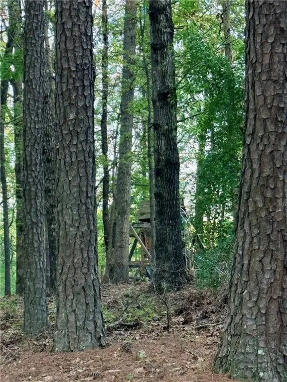 LOT 7B Pea Ridge Road, Marble Hill, GA 30148 - #3