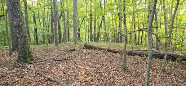 0 Seye Wailo Trail, Clarkesville, GA 30523
