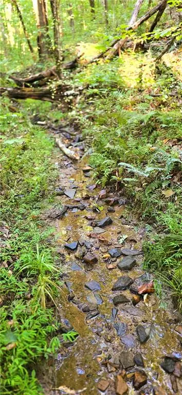 0 Seye Wailo Trail, Clarkesville, GA 30523 - #3