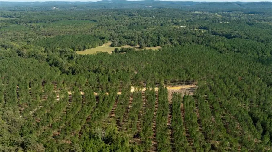 TRACTS Livingston Rd Sw, Rome, GA 30161 - #2
