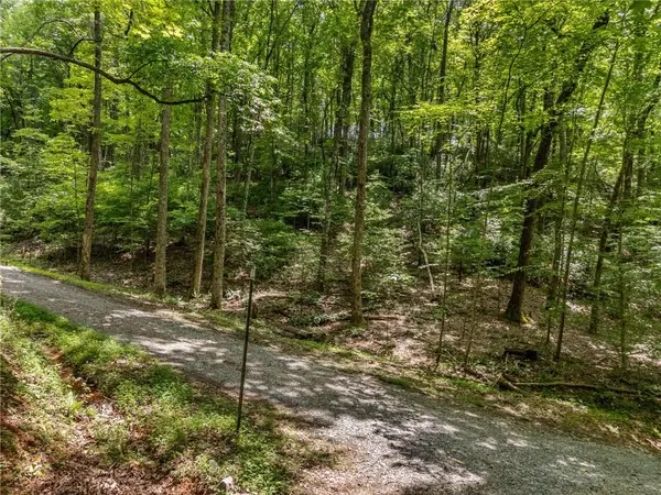 0 Jagger Run, Blue Ridge, GA 30513