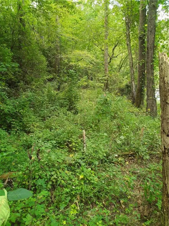00 Marie, Carters Lake, GA 30540 - #1