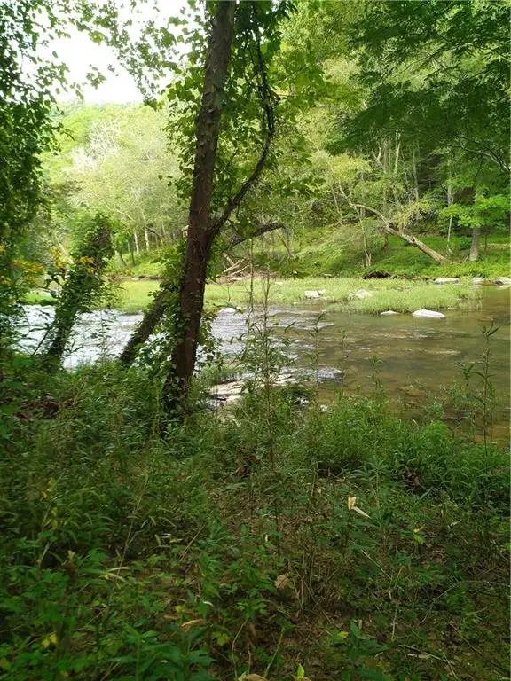00 Marie, Carters Lake, GA 30540 - #2