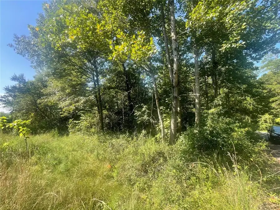 0 Apache Trail, Martin, GA 30557 - #2